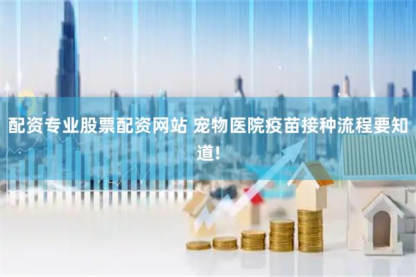 配资专业股票配资网站 宠物医院疫苗接种流程要知道!