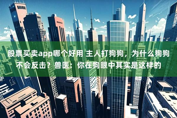 股票买卖app哪个好用 主人打狗狗，为什么狗狗不会反击？兽医：你在狗眼中其实是这样的