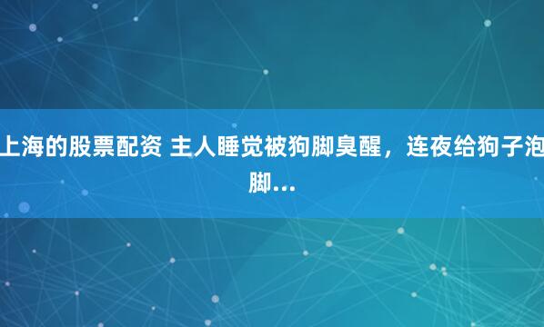 上海的股票配资 主人睡觉被狗脚臭醒，连夜给狗子泡脚...